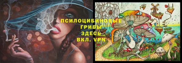 прущая мука Нея